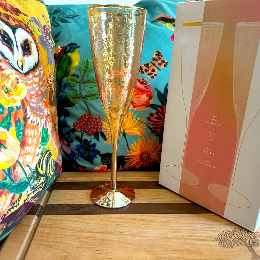 Anthropologie Zaza Champagne Flutes